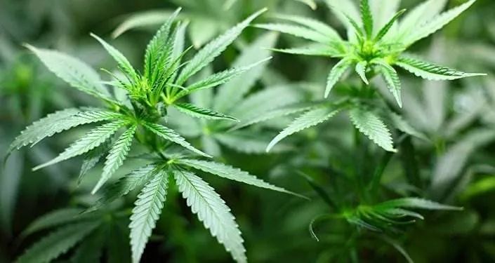 中国梦虚拟币的简单介绍